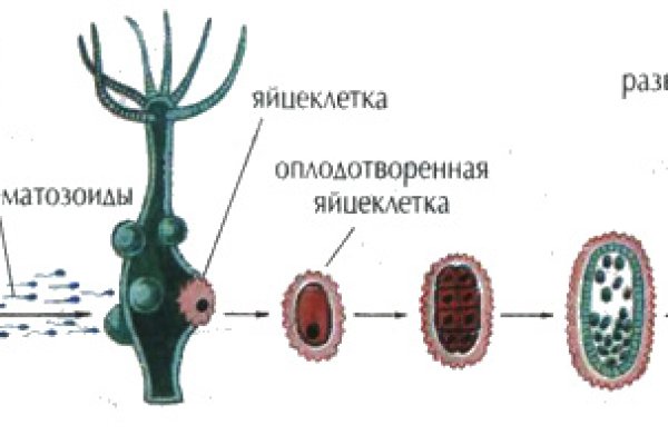 Площадка омг омг ссылка